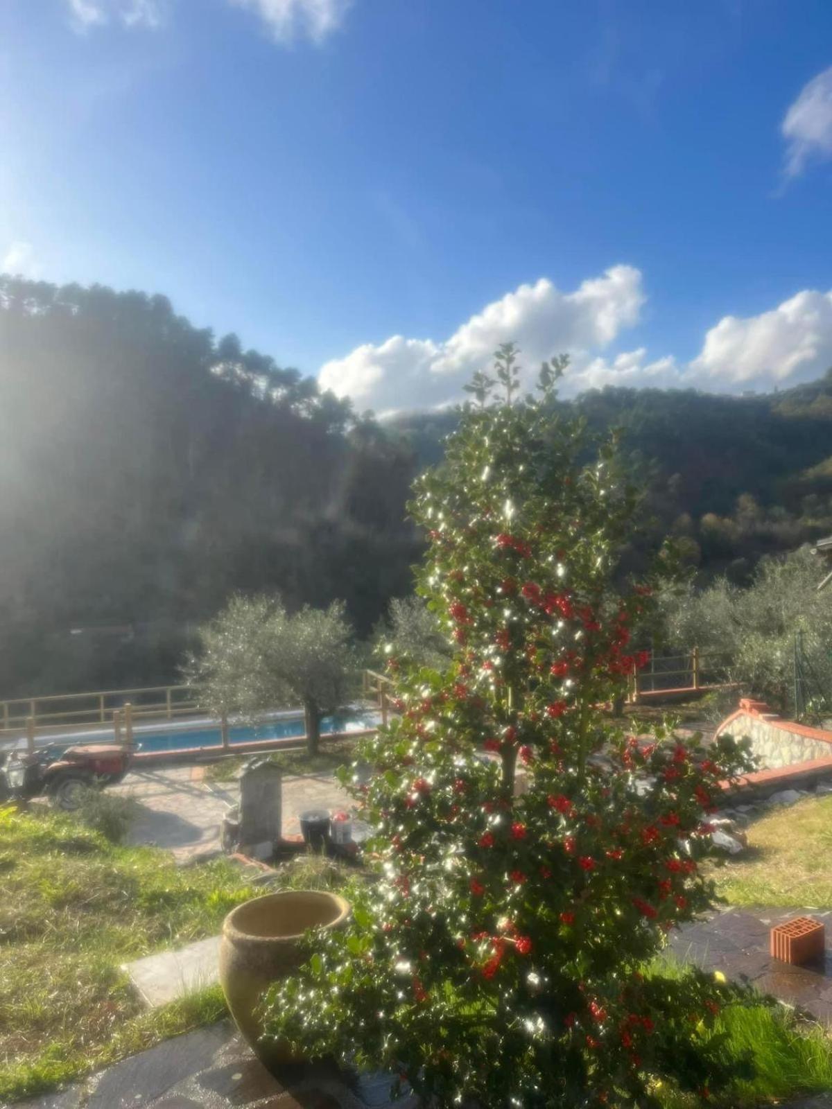 Podere Il Glicine Wellness Charme & Relax Fresonara  Dış mekan fotoğraf